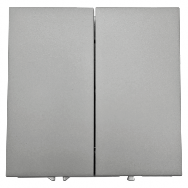Dviejų klavišų pilkas perjungiklis "BORA" (be rėmelio)