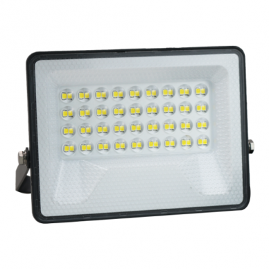 LED lauko prožektorius "TANZA" 30W