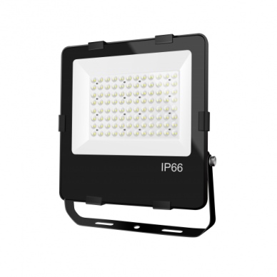 LED lauko prožektorius "TENRI" 100W 2