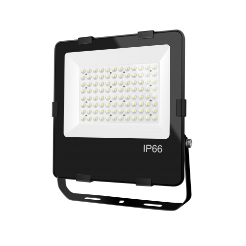 LED lauko prožektorius "TENRI" 100W 2