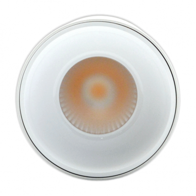 Plafonveida balts LED gaismeklis "TULSA" 20W 3