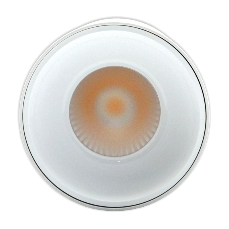 Plafonveida balts LED gaismeklis "TULSA" 20W 3