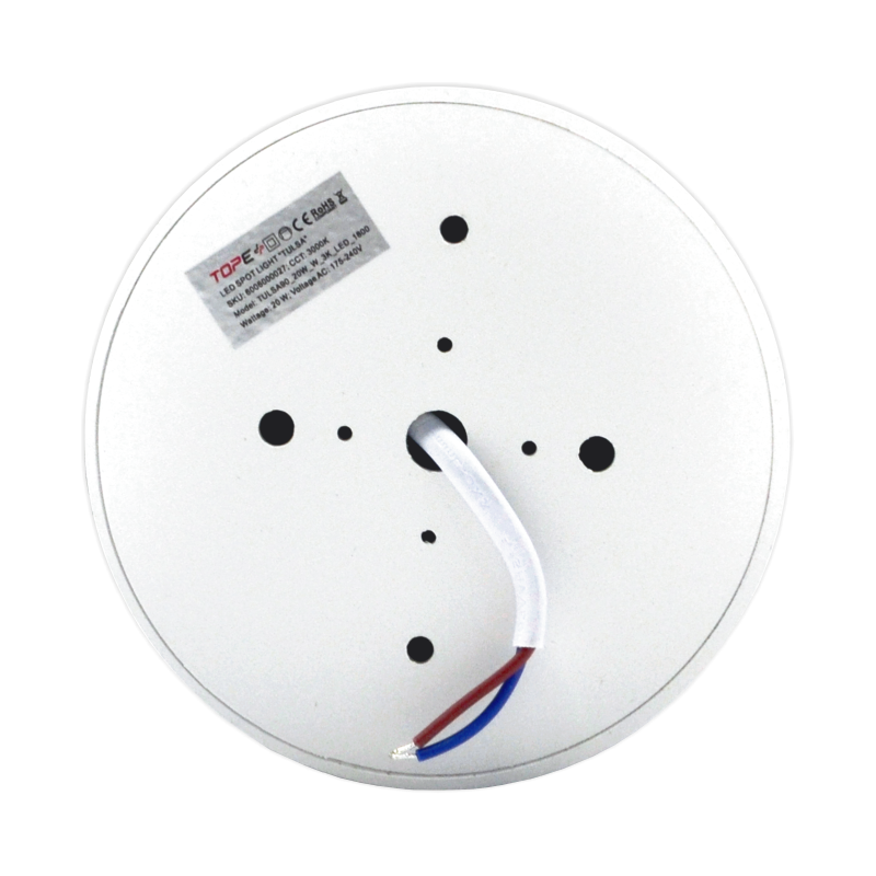 Plafonveida balts LED gaismeklis "TULSA" 20W 4
