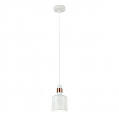 Pakabinamas baltas šviestuvas "RESTENZA" 40W Pakabinamas baltas šviestuvas "RESTENZA" 40W