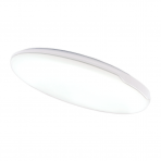 Ceiling and wall mounted LED luminaire "RIGA" 24W Ceiling and wall mounted LED luminaire "RIGA" 24W
