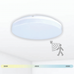 Ceiling and wall mounted luminaire with microwave sensor "RIOSENS" 15W