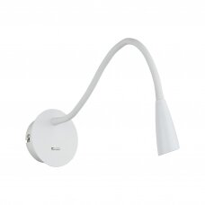 Sieninis baltas LED šviestuvas "PAOLA" 3W
