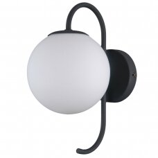 Sieninis juodas LED šviestuvas "GELA" 5W