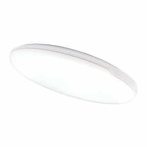 Ceiling and wall mounted LED luminaire "RIGA" 24W