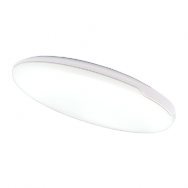 Sieninis lubinis LED šviestuvas "RIGA" 24W Sieninis lubinis LED šviestuvas "RIGA" 24W