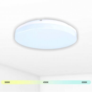 Ceiling and wall mounted luminaire "RIO" 15W