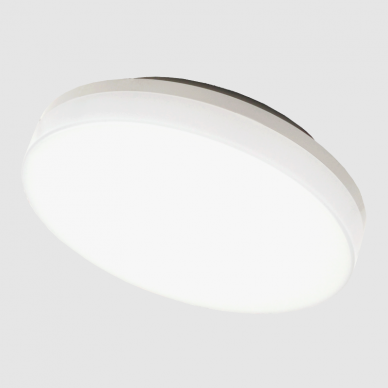 Ceiling and wall mounted luminaire "RIO" 15W 6
